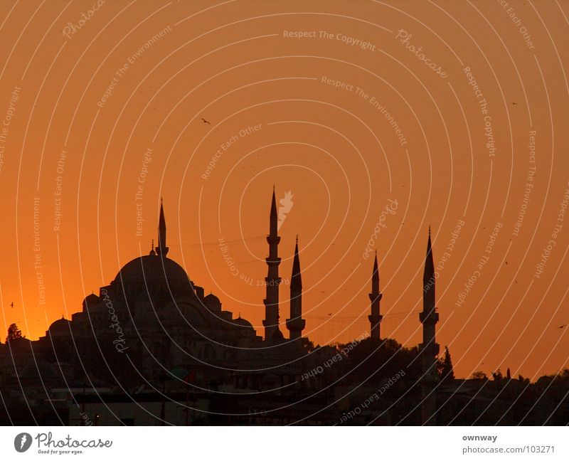 Mosque in Istanbul Sunset Dark Minaret Religion and faith Islam Moslem Turkey Asia Europe The Bosphorus Historic Evening