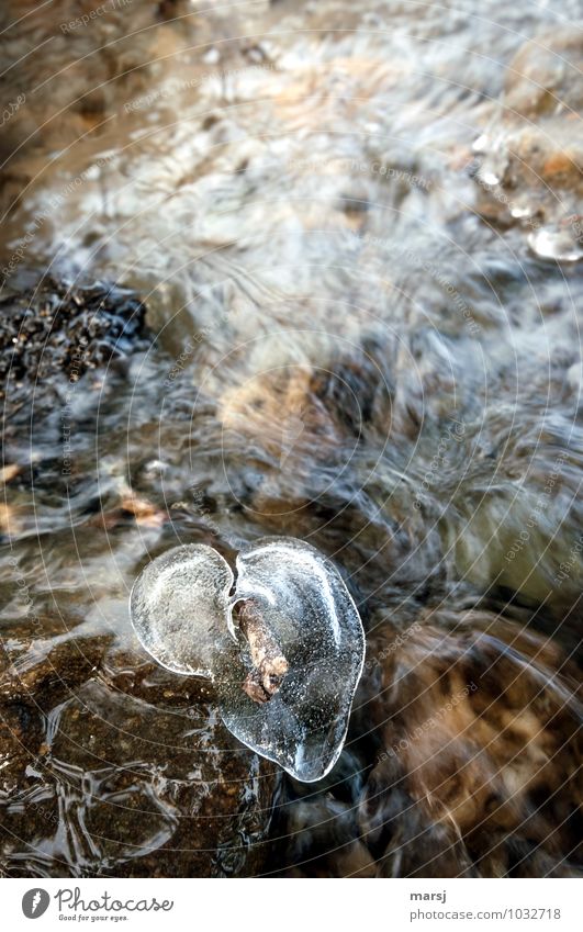 There my heart melts away Life Harmonious Relaxation Calm Valentine's Day Water Winter Ice Frost Brook Heart Authentic Simple Fluid Wet Natural Heart-shaped