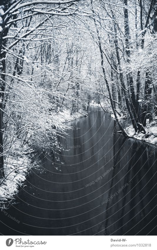 Idyllic winter landscape Fishing (Angle) Vacation & Travel Winter Snow Winter vacation Nature Landscape Beautiful weather Ice Frost Forest Brook River Cold