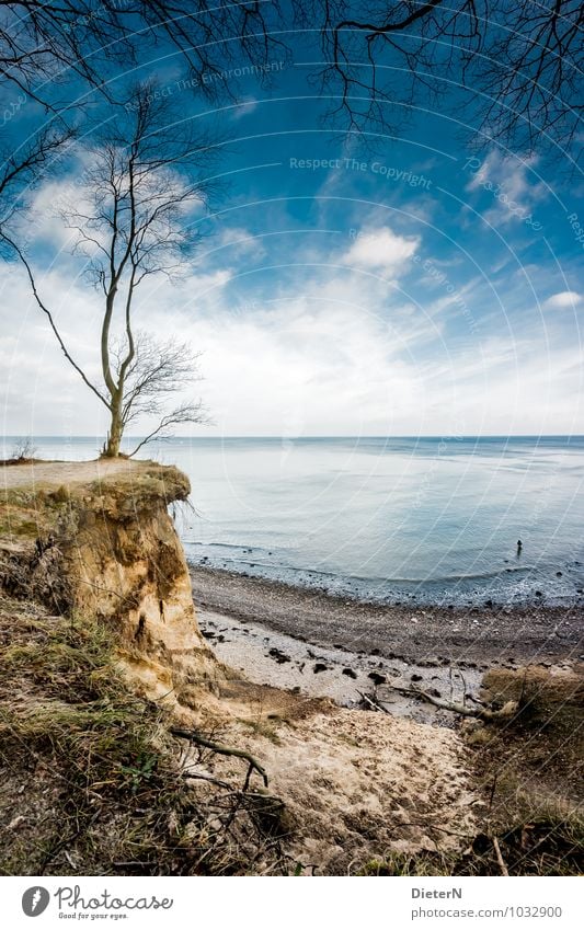 outlook Body 1 Human being Nature Landscape Elements Earth Sand Sky Clouds Horizon Winter Beautiful weather Plant Tree Grass Coast Beach Baltic Sea Ocean Blue