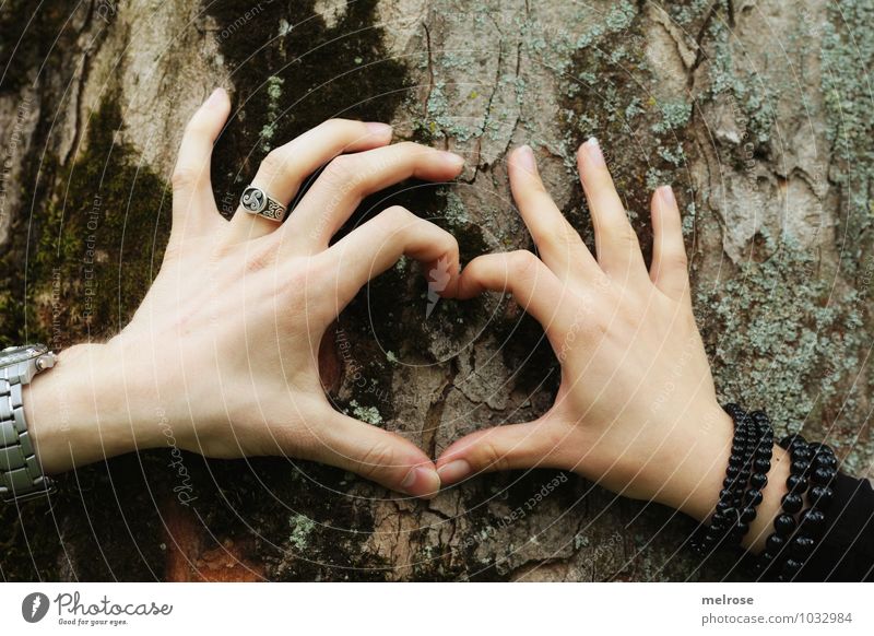 you and I Happy Valentine's Day Masculine Feminine Woman Adults Man Couple Hand Fingers 2 Human being 18 - 30 years Youth (Young adults) Environment Spring Tree