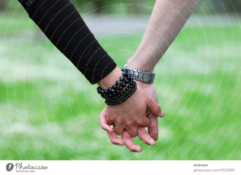 Hand in Hand II Lifestyle Style Valentine's Day Human being Young woman Youth (Young adults) Young man Couple Partner Arm Fingers 2 18 - 30 years Adults Nature