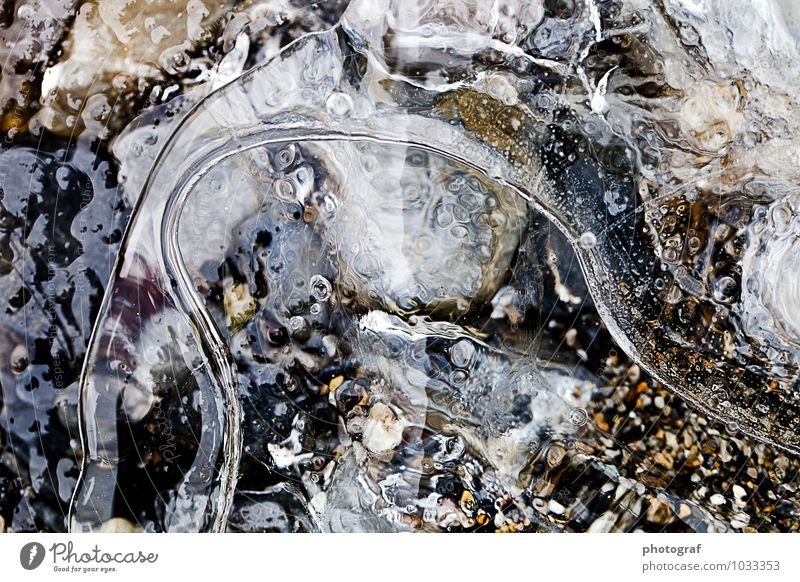 ice Life Air Water Winter Ice Frost Growth Fresh Cold Natural Nature Frozen Ice crystal Ice droplets ice bubble Colour photo Exterior shot Close-up Detail