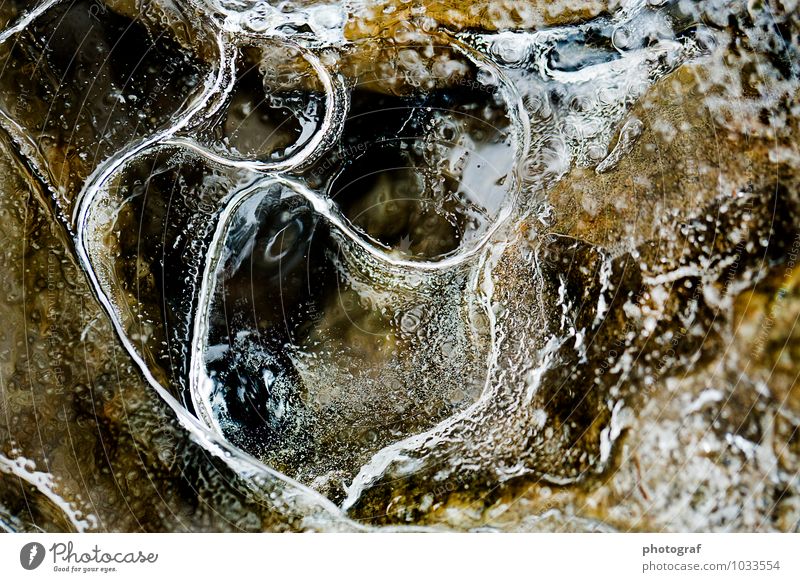 ice Style Design Life Winter Snow Art Work of art Sculpture Air Water Autumn River Growth Flow Frozen ice bubble Colour photo Close-up Macro (Extreme close-up)