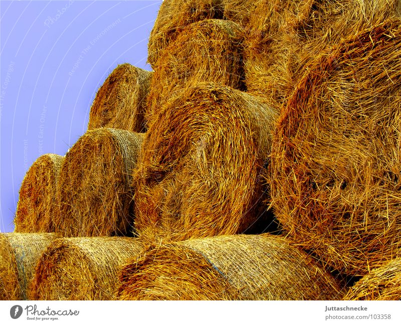 The work wage Straw Bale of straw Hay bale Field Working in the fields Stack Summer Autumn Yield Agriculture Harvest bundled hay Mow the lawn Juttas snail