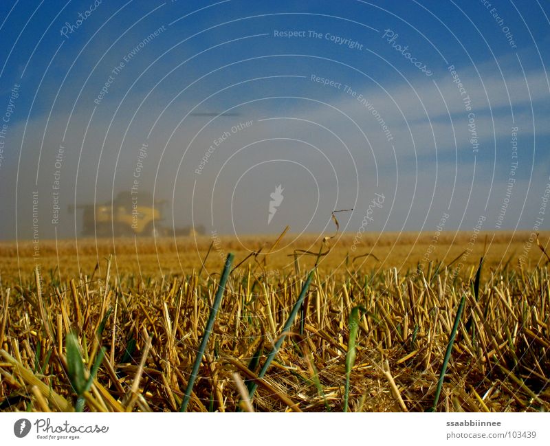 Fata Morgana? Combine Summer Dust Physics Power Force Cornfield Harvest Warmth Fog Sky Technology