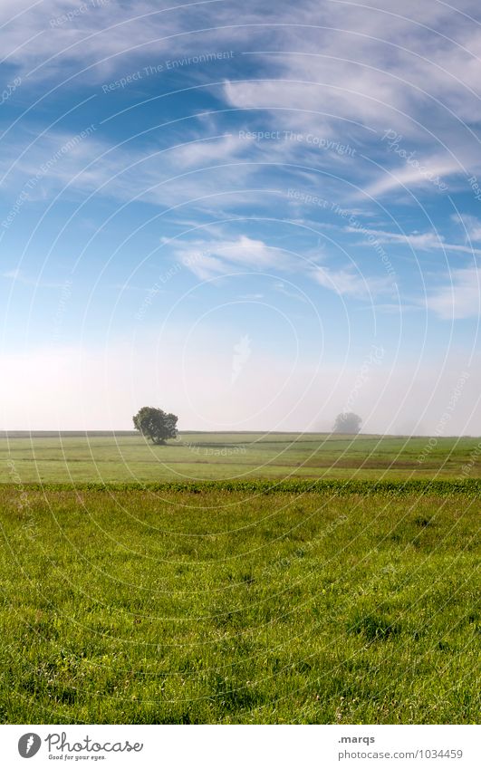rural Environment Nature Landscape Elements Sky Clouds Horizon Spring Summer Climate Beautiful weather Fog Tree Meadow Field Relaxation Simple Fresh Natural