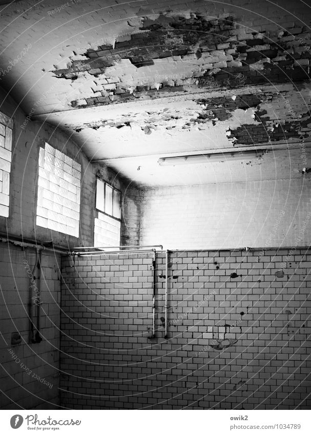 bathroom Wall (barrier) Wall (building) Facade Window Room Tile Iron-pipe Water pipe Stone Glass Metal Old Historic Broken Trashy Gloomy Decline Past Transience