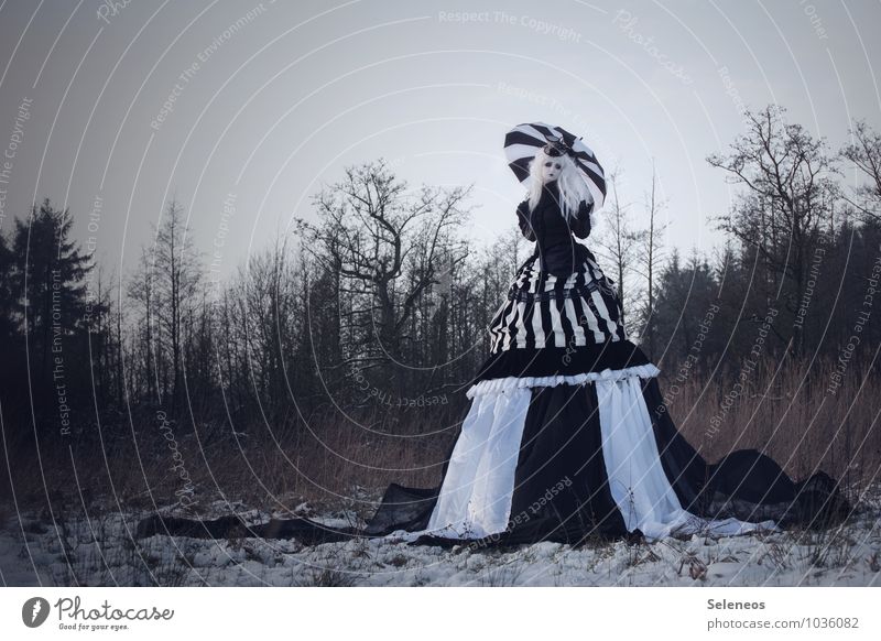 snow white Carnival Hallowe'en Human being Feminine Woman Adults 1 Subculture Rockabilly Nature Cloudless sky Winter Ice Frost Snow Tree Meadow Field Fashion