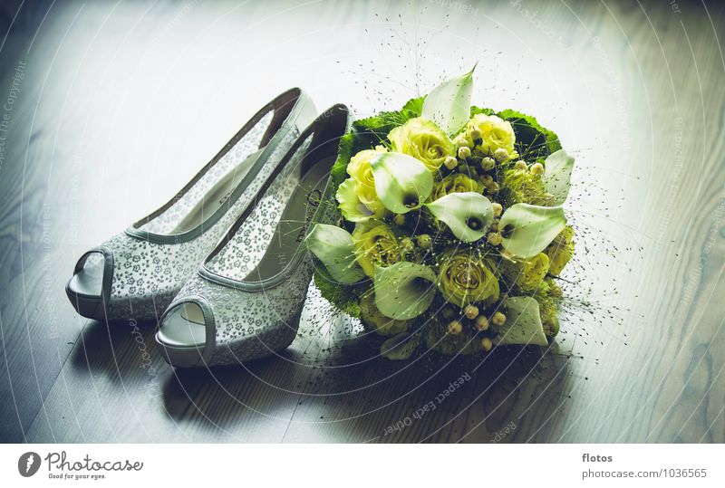 We're almost there! Plant Flower Blossom Clothing Footwear High heels Elegant Brown Yellow Green White Happy Anticipation Romance Wedding Colour photo