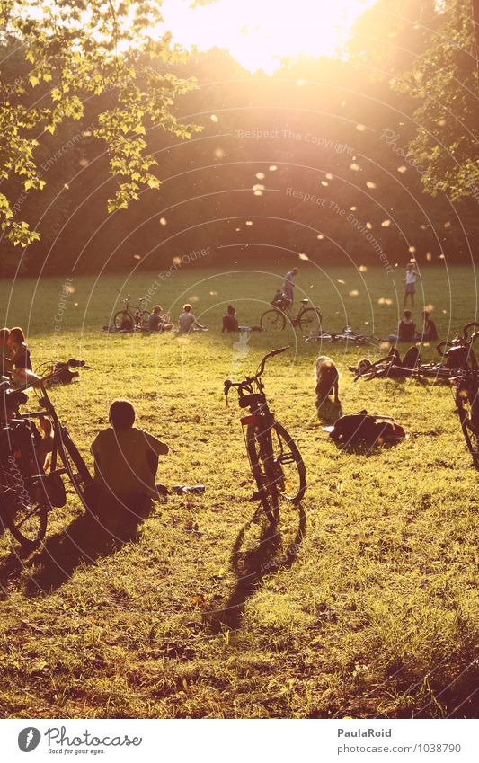 silence of sparks Harmonious Relaxation Calm Freedom Summer Sun Park Bicycle Human being Friendship Youth (Young adults) Adults Life Crowd of people Nature