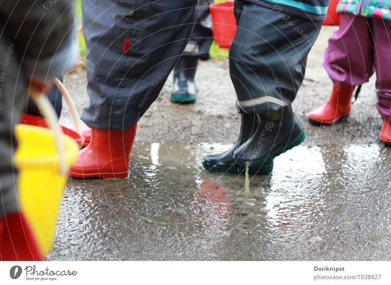 pitch pitchy-pitchy Joy Playing Human being Toddler Feet 1 - 3 years Autumn Bad weather Rubber boots Movement Discover To enjoy Simple Together Funny Gray