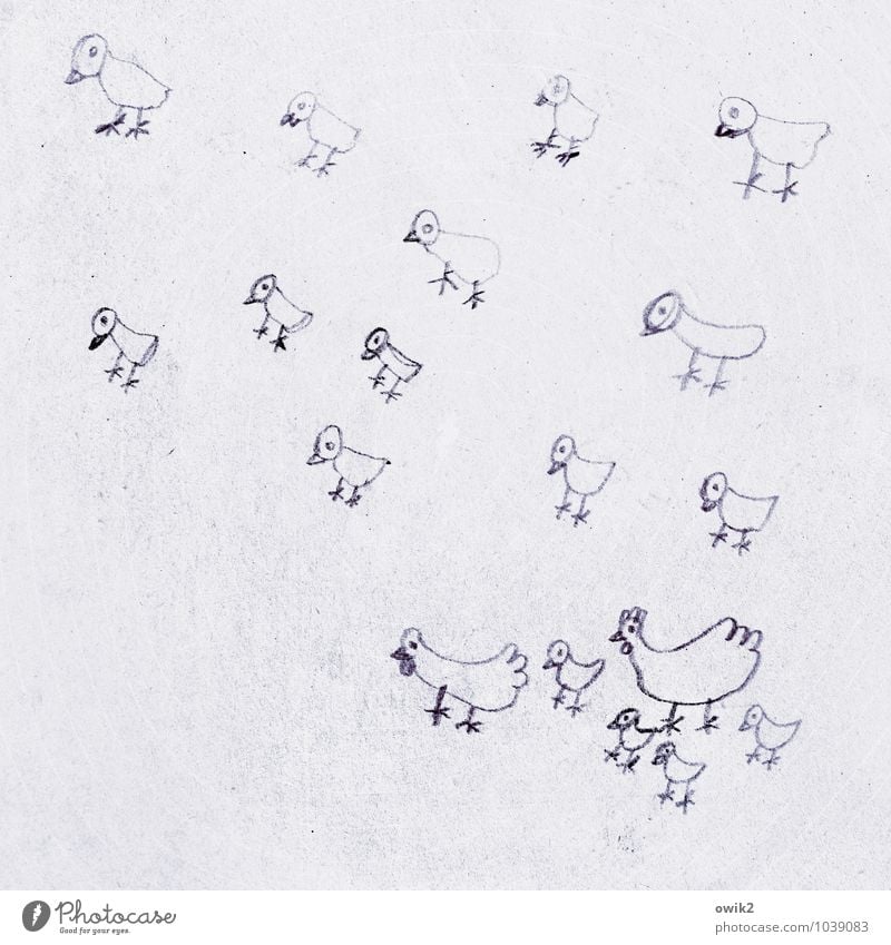 family happiness Art Work of art Drawing Children's drawing Barn fowl Chick Group of animals Simple Together Small Cute Many Attachment Poultry Poultry farm