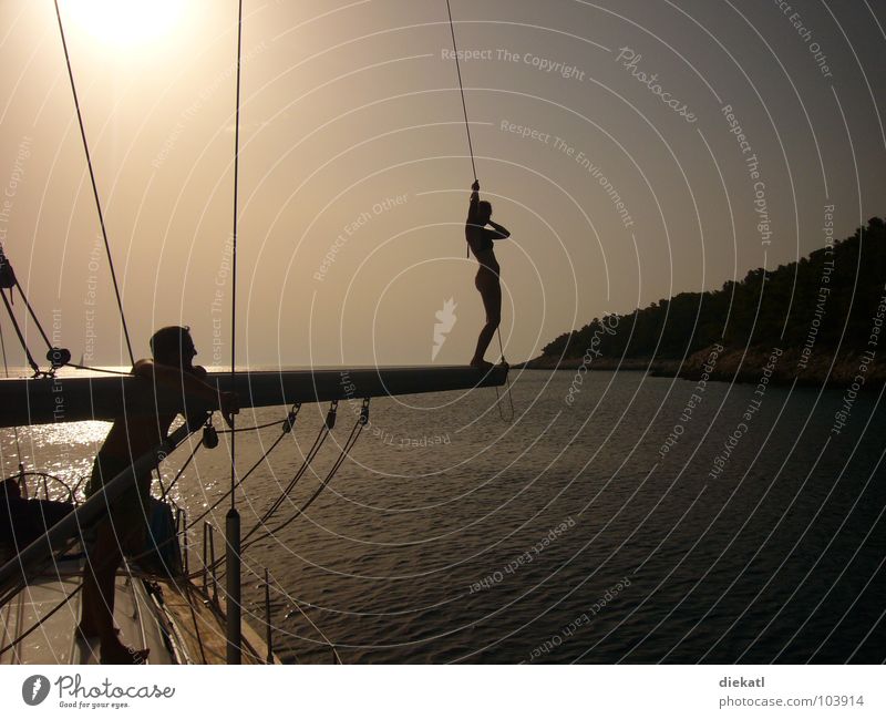 sunset sailboat Sunset Sailboat Watercraft Croatia Tree Jump Physics Ocean Bay sundowner chilly Electricity pylon Warmth