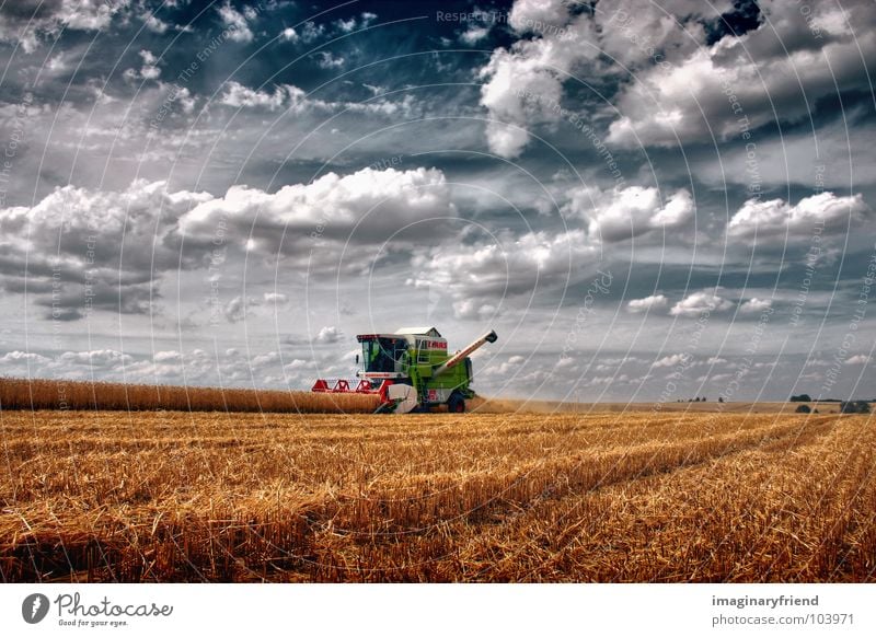 love the country Clouds Sky Countries Field Cornfield Summer Farmer Combine Americas Landscape wheat Harvest