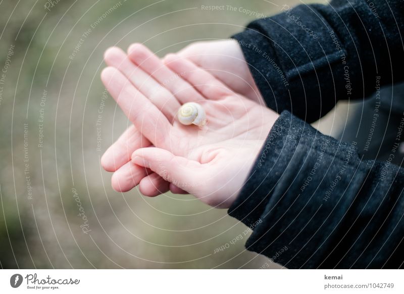 All the small things (5) Lifestyle Hand Fingers Palm of the hand 1 Human being Coat Snail shell To hold on Small Cute Beautiful Black Contentment Calm Indicate