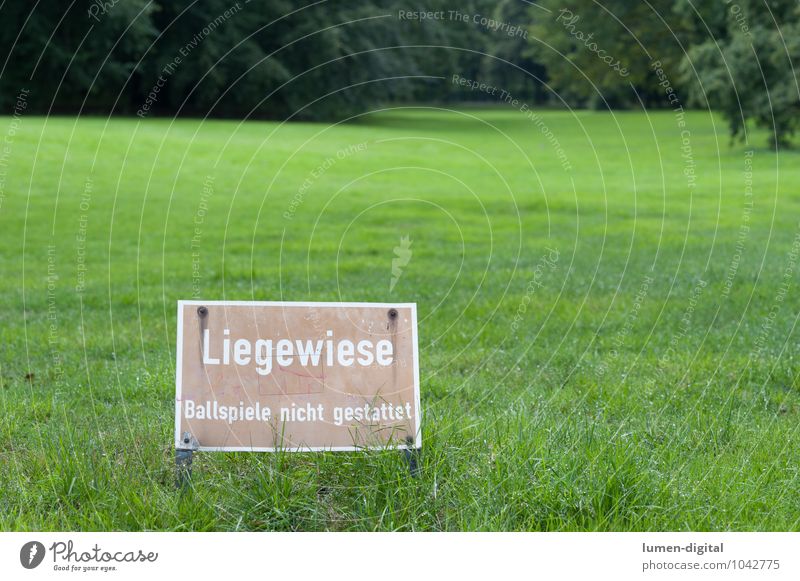 sunbathing lawn Ball sports Tree Park Meadow Signs and labeling Wet Green Bans Berlin Damp Groomed background blur Lawn for sunbathing Landscape format sign