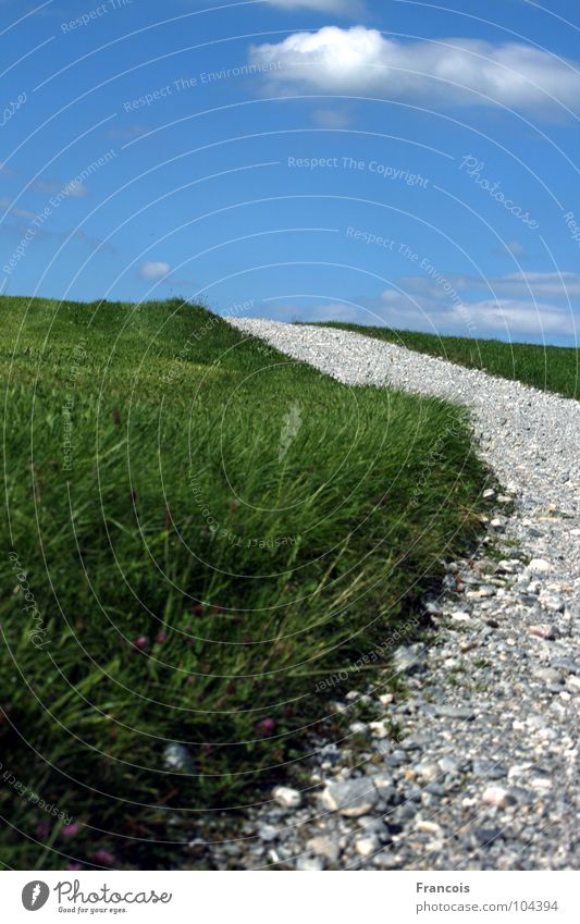 Field path 1 Footpath Grass Stony Wayside Allgäu Summer Lanes & trails Sky Stone