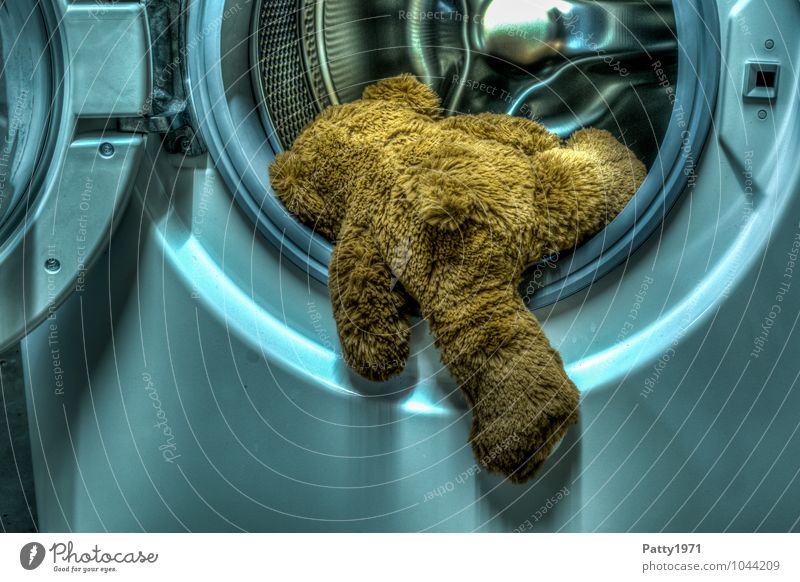 The last wash Teddy bear Cuddly toy Washer Washer drum Hang Sadness Distress HDR Climbing Get in Washing Suicide Colour photo Interior shot Rear view