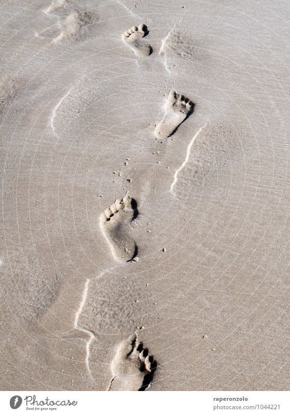 dip-didip-didip, dip-di-dip, dip-didip-didip ... Vacation & Travel Summer Summer vacation Beach Ocean Barefoot footprint Feet trace Corridor Going Bequest