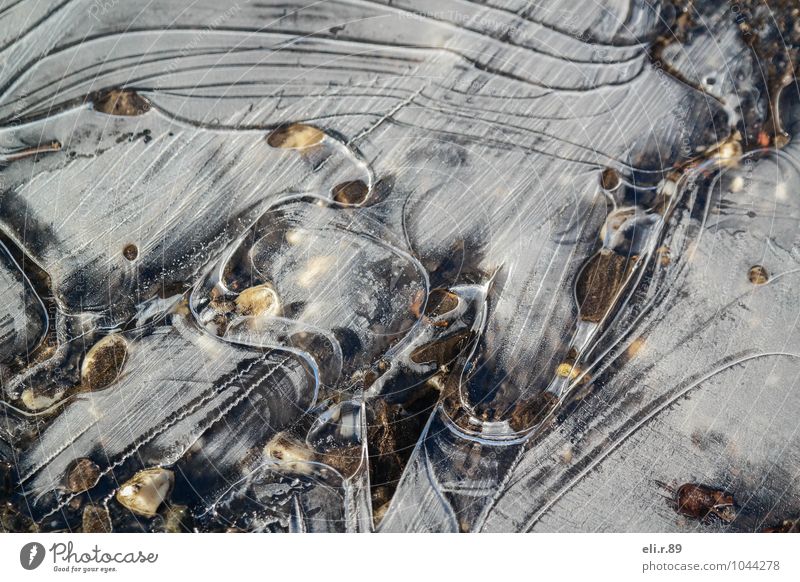 Puddle ice II To go for a walk Winter Environment Nature Water Ice Frost Freeze Cold Brown Gray White Calm Colour photo Subdued colour Exterior shot Abstract
