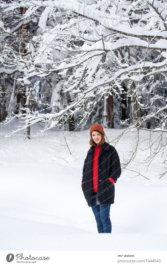 Gut gelaunt im Schnee Winter Snow Human being Feminine Young woman Youth (Young adults) Woman Adults 18 - 30 years Nature Tree Forest Cap Brunette Long-haired