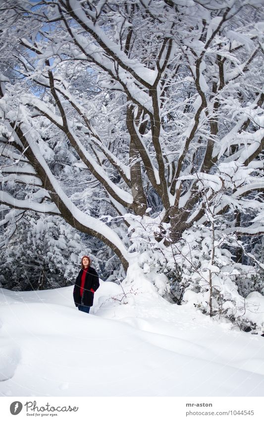 So gross! Winter Snow Winter vacation Girl Young woman Youth (Young adults) Woman Adults 1 Human being 18 - 30 years Plant Tree Forest Cap Brunette Long-haired