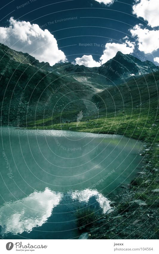 Mountains blue-green Mountain lake Thirsty Glacier Grass Green Cattleherd Lake Lakeside Reflection Water reflection Meadow glacial valley grass-eaters Sky Idyll