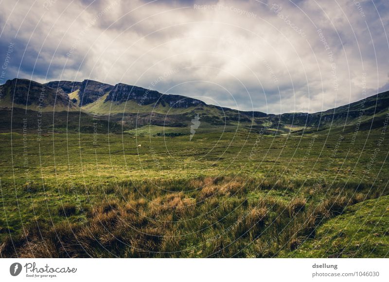 View over the hills of Quiraing on the Isle of Skye Panorama (View) Contrast Shadow Light Day Deserted Scotland Colour photo Exterior shot Quiarang Open Green