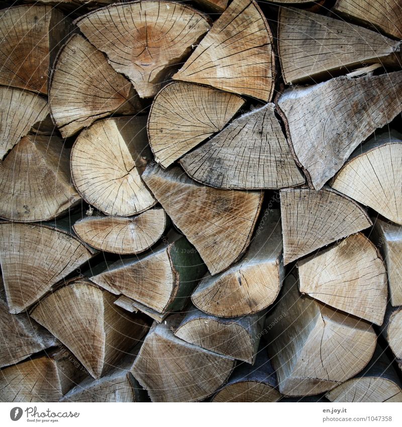 next winter will come! Stack of wood Firewood Wood Sharp-edged Sustainability Natural Point Dry Brown Contentment Safety (feeling of) Cold Climate Nature