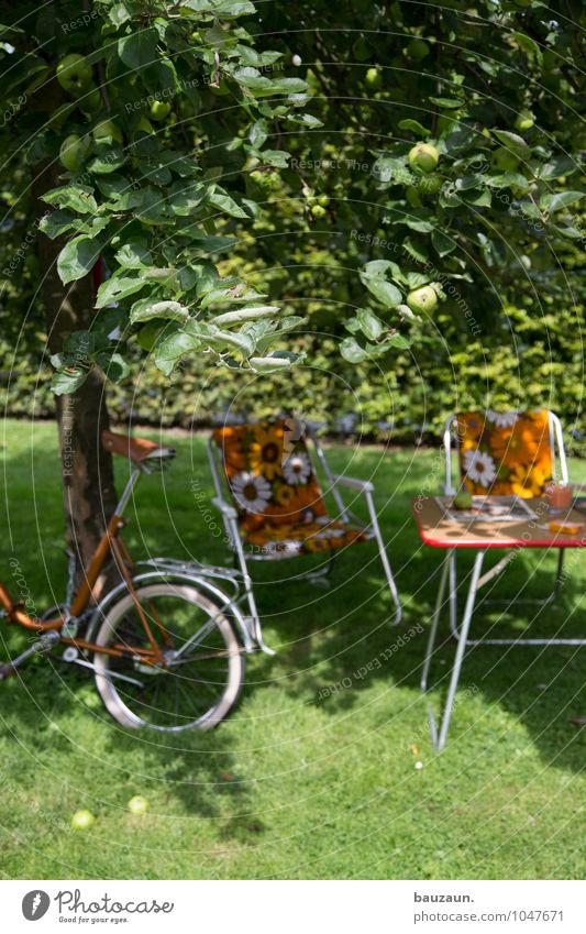 shadow. Joy Leisure and hobbies Vacation & Travel Tourism Trip Camping Cycling tour Summer Summer vacation Garden Chair Environment Nature Landscape Earth