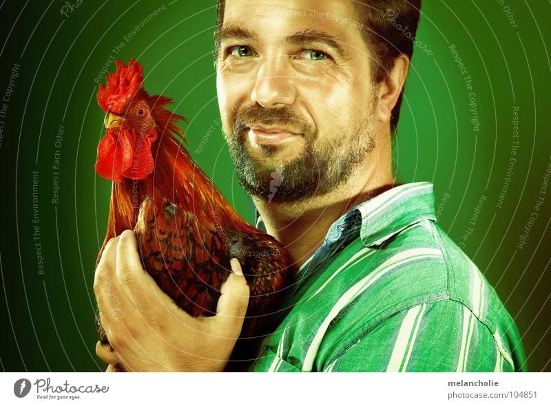 I LIKE CHICKEN Barn fowl Love of animals Portrait photograph Man Comic Design Humans and animals Nutrition