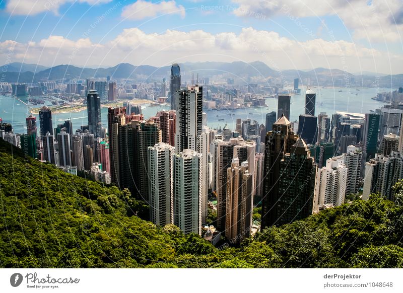 A rare view nowadays in Hong Kong Vacation & Travel Tourism Trip Far-off places Freedom Environment Nature Landscape Summer Tree Forest Hill Mountain Waves