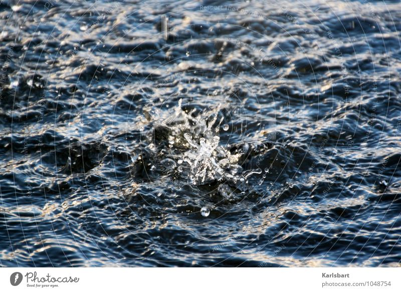 A drop of a thousand parts Beautiful Healthy Harmonious Relaxation Calm Meditation Swimming & Bathing Waves Baptism Nature Water Drops of water Lakeside