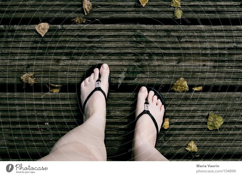 Stepped on autumn Autumn Cold Wood Footbridge Flip-flops Toes Leaf Wind Dreary Gloomy Brown Dark September October November Reluctance Woman autumn holidays