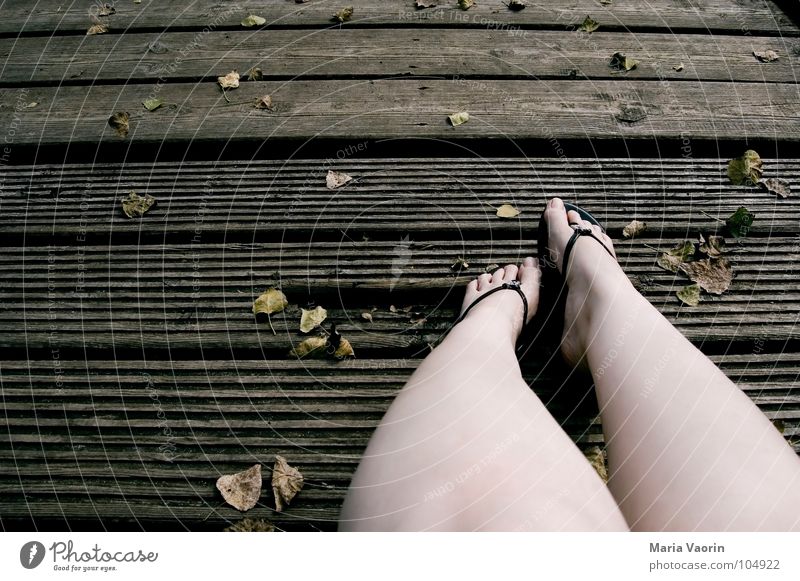 The autumn chill Autumn Cold Wood Footbridge Flip-flops Toes Leaf Wind Dreary Gloomy Brown Dark September October November Relaxation Boredom Woman
