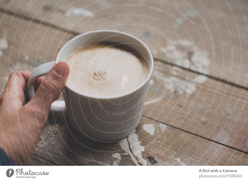 morning all Food Nutrition Breakfast To have a coffee Beverage Hot drink Coffee Cup Mug Hand To enjoy Drinking Cozy Subdued colour Interior shot Close-up Detail
