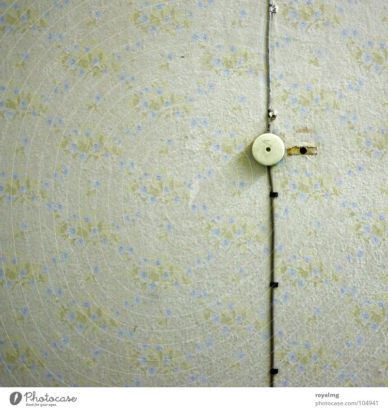 Electric Boogie Wallpaper Flower Floral wallpaper Electricity Socket Switch Light switch Yellow Green White Black Pattern Harmonious Sixties Seventies Hippie