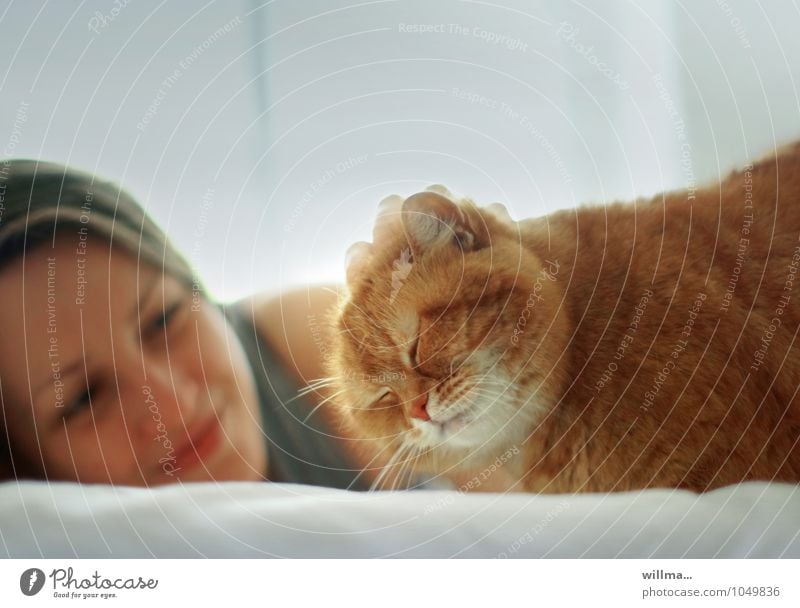 Young woman stroking her purring cat with smile Woman Cat Contentment Youth (Young adults) Smiling Caress relaxed Cute Love of animals Purr Human being