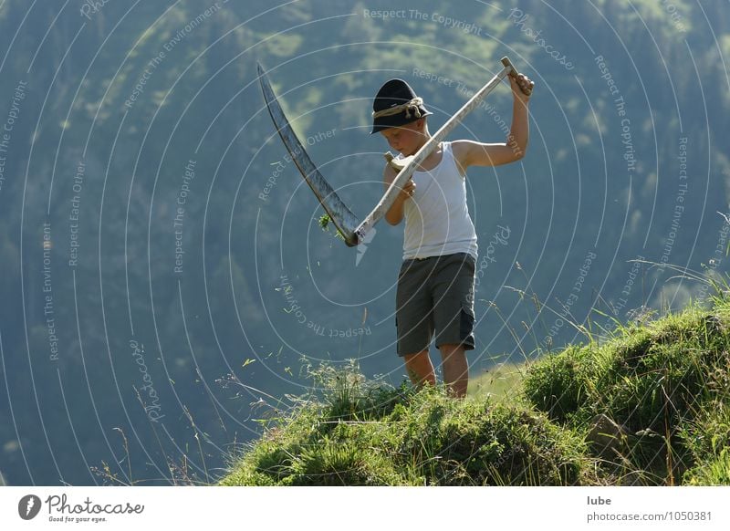 mowing Agriculture Forestry Child Boy (child) 1 Human being Environment Nature Landscape Plant Summer Beautiful weather Grass Meadow Alps Mountain Diligent