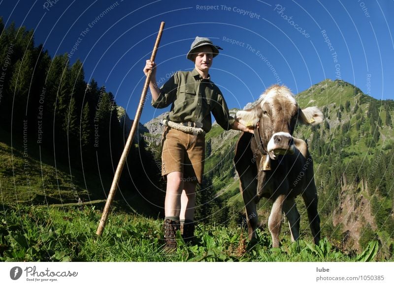 young farmer Agriculture Forestry Child 1 Human being Environment Nature Landscape Cloudless sky Summer Hill Rock Alps Mountain Animal Pet Farm animal Cow Joy