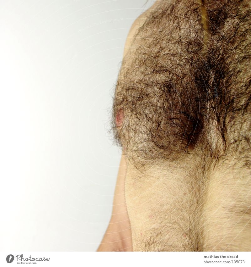 chest hair Hairy chest Physics Multiple Dark Unshaven Upper body Man Masculine Maturing time Hair and hairstyles Warmth Many Wild animal Body Skin excerpt Arm