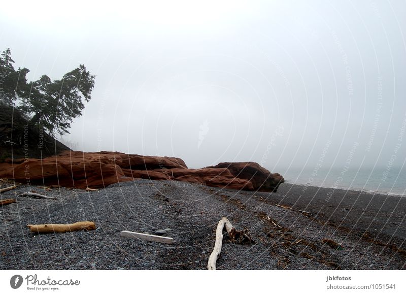 Go for a swim, no way! Environment Nature Landscape Elements Water Sky Cloudless sky Horizon Summer Bad weather Storm Fog Tree Foliage plant Rock Cold Canada