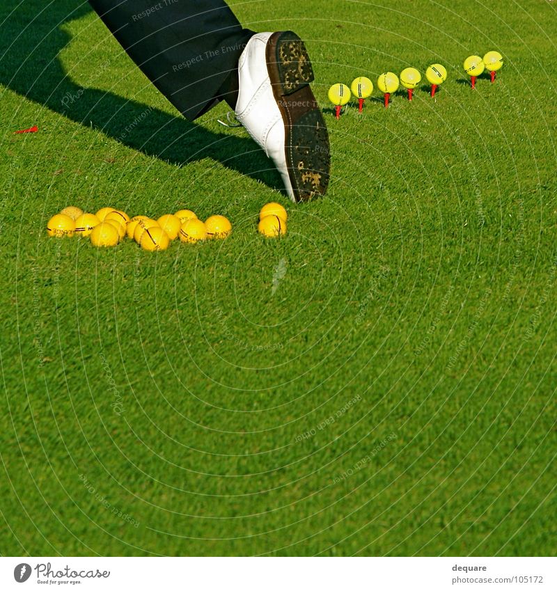 Golf Pro Footwear Golf shoes Grass Green Calm Perfect Meadow Golfer Sports Playing Leisure and hobbies Lawn Ball professional per Tea studded shoe fairway