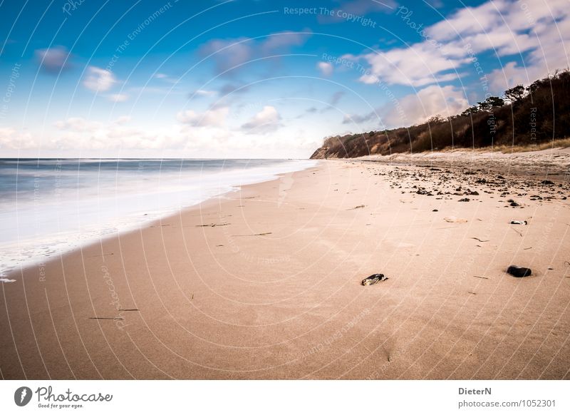 coastline Landscape Baltic Sea Blue Brown Black White Mecklenburg-Western Pomerania Rügen Ocean Beach Coast Sandy beach Tree Clouds Horizon Colour photo