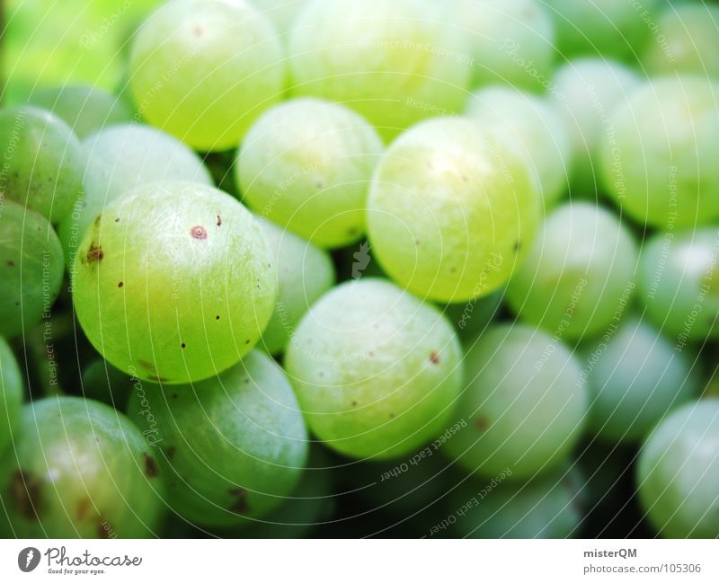 green berry Bunch of grapes Close-up Many Green Sweet Fruity Vegetarian diet Vegan diet Raw vegetables Healthy Eating Grape harvest Vine