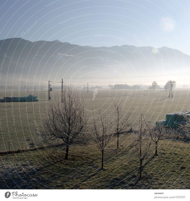 morning mood Calm Sun Winter Mountain Nature Landscape Beautiful weather Fog Tree Field Cold Loneliness Austria Morning fog Electricity pylon Valley Frost