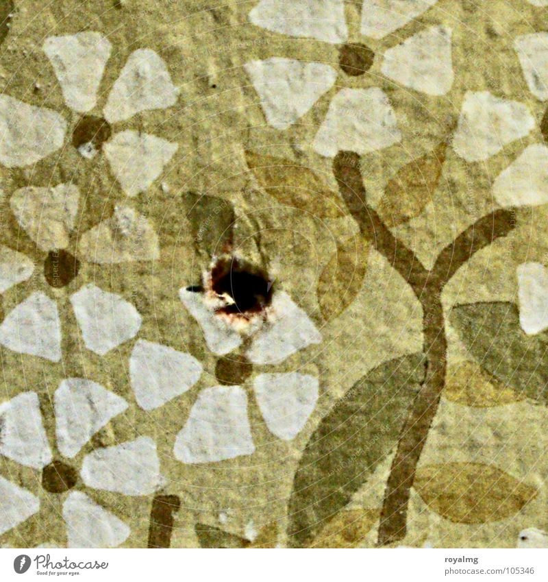 flower wallpaper with hole Green White Brown Gray Wallpaper Wall (building) Flower Retro Craft (trade) Derelict Old