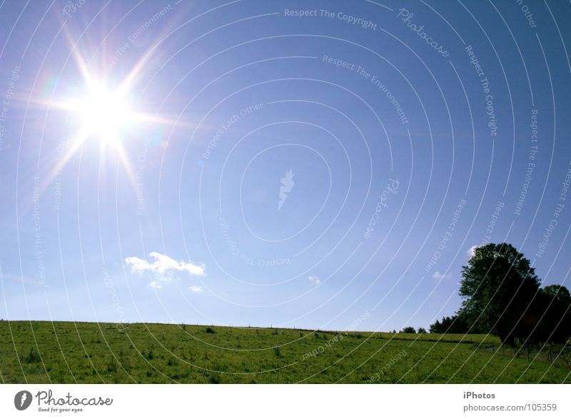 SunStar Sky Meadow Grass Tree Clouds Progress Color gradient Back-light Summer Star (Symbol) Blue Freedom Weather Nature Stars