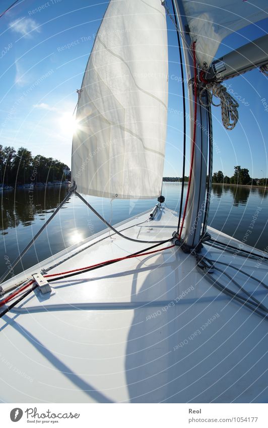 on the way Leisure and hobbies Sailing Sailboat Sailing ship Deck Navigation Watercraft Bow Cruise Cloudless sky Sun Summer Beautiful weather Mast Rigging Knot